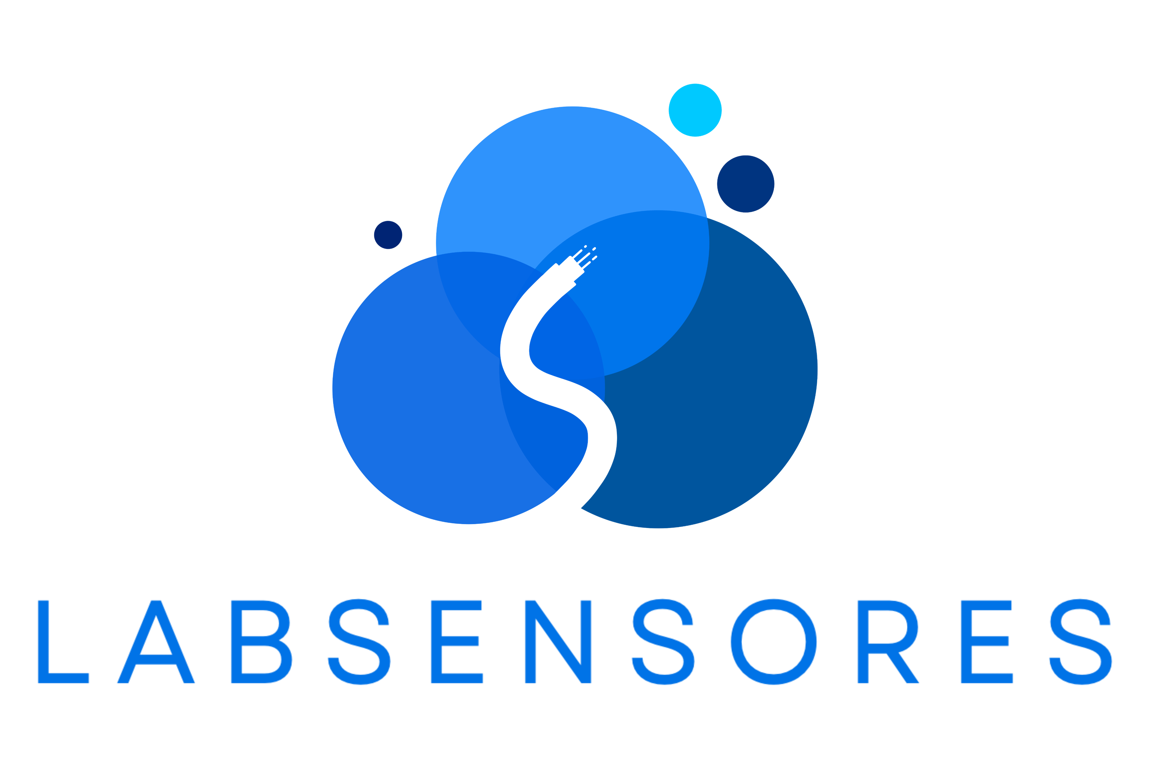 Logo LabSensores